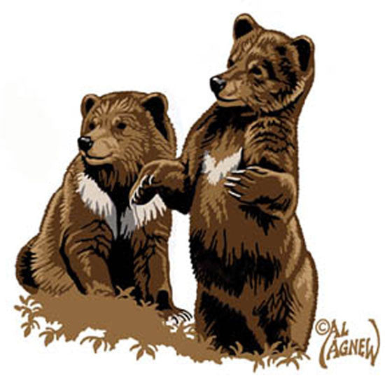 Bear Cubs Embroidered Baby Blanket by Al Agnew© - 
 - 3