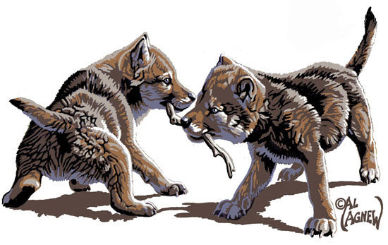 Wolf Cubs Embroidered Baby Blanket by Al Agnew© - 
 - 4