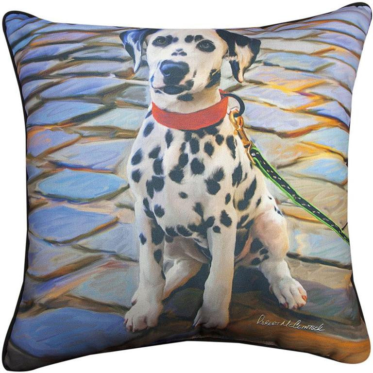 Dalmation Pillow by Robert McClintock©