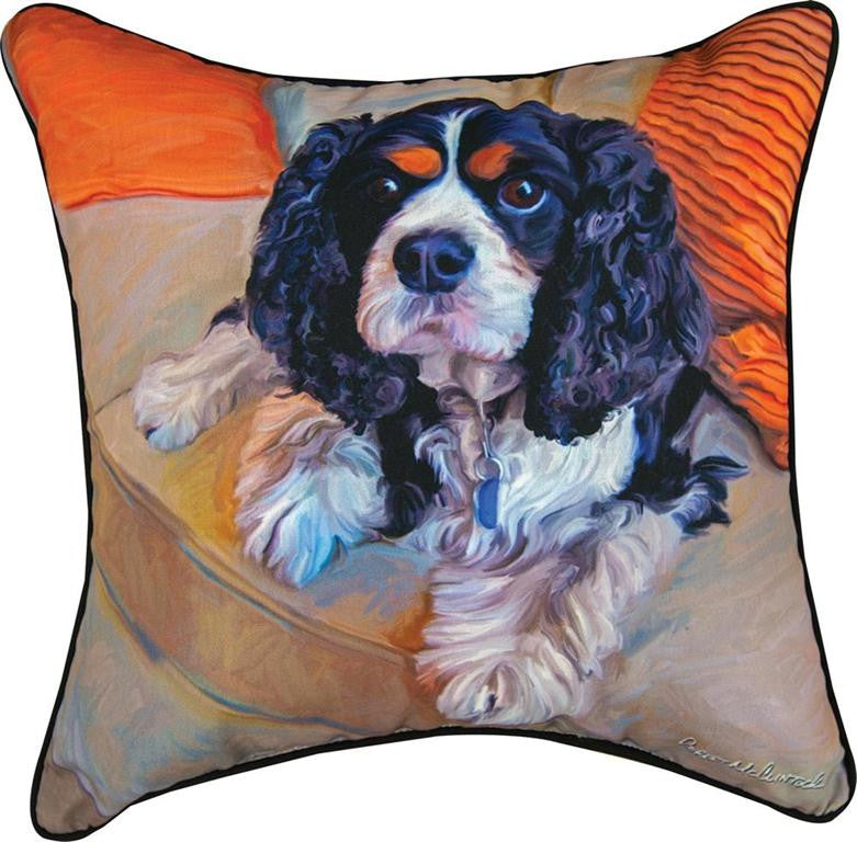 Charles In Charge Pillow by Robert McClintock©
